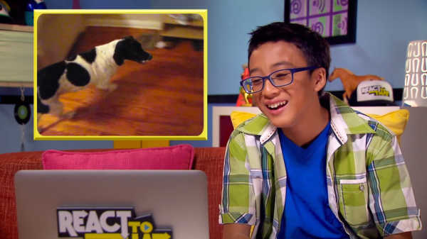 marin_eben's tweet image. Retour sur la polémique créée par @thefinebros, qui voulaient s&apos;approprier les #ReactVideos slate.fr/story/113489/f…