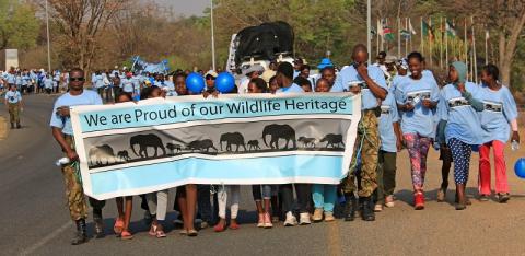 Marching for the Big Three  bit.ly/1SAR27T #ExploreZambezi