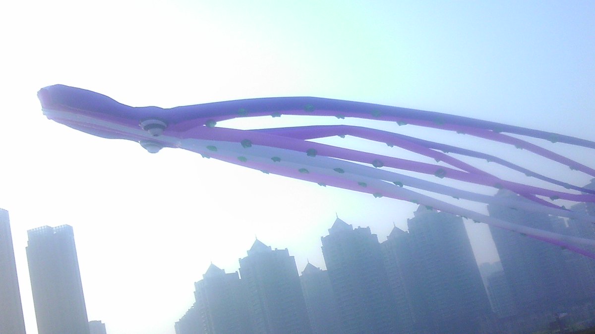 Coco Tangshui tweet media