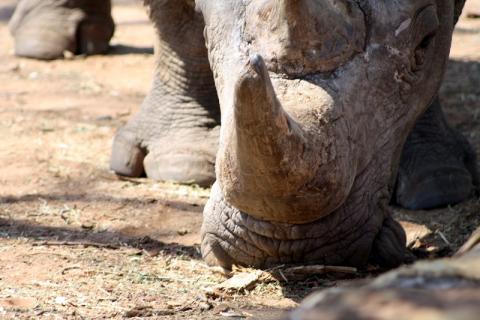 Walking back in time bit.ly/1SARBhW #ExploreZambezi