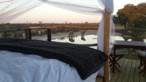 Elephant's Eye, Hwange turns two bit.ly/1SAUG1D #ExploreZambezi