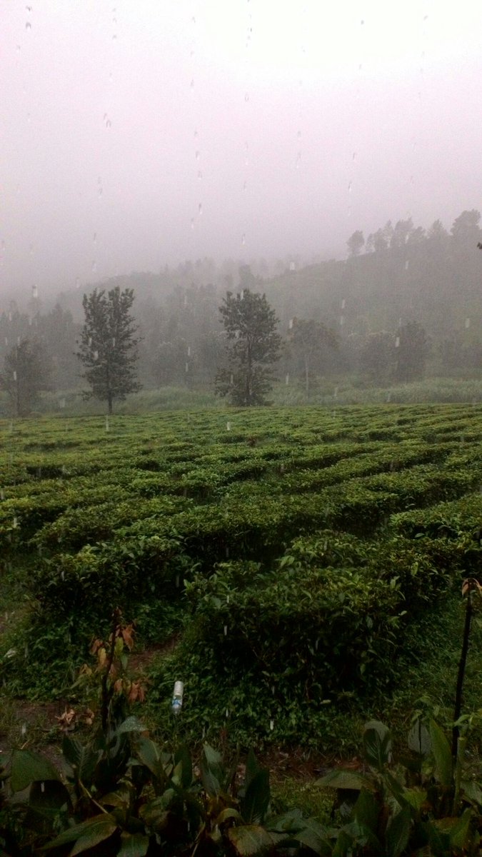 Kurang Piknik! 😁😁😁
Puncak lagi diguyur hujan 😵
Blarrrr #001 <a href="/AgusArifin17_/">Jaw ▲▼</a> &amp; #006 <a href="/IrfanOncy/">Irfan Oncy</a>