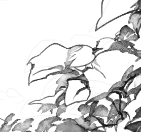 Some tidbits of what I'm working on. 