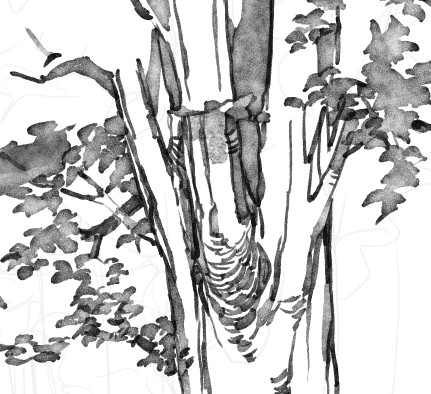 Some tidbits of what I'm working on. 