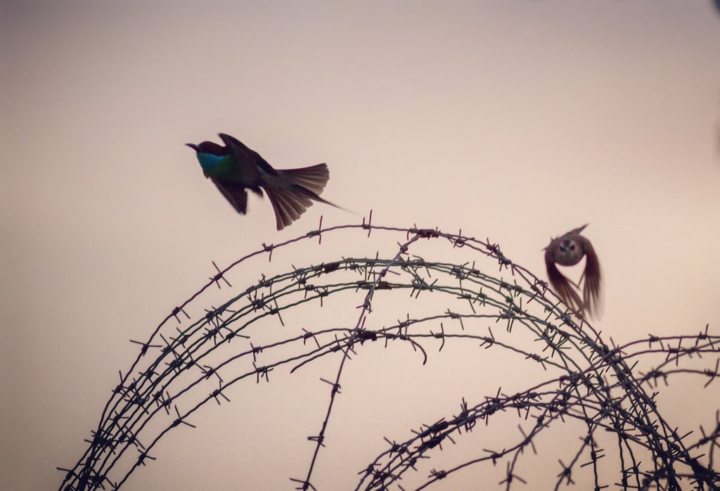 ATM🔸Capture (@amrithapa99) on Twitter photo 