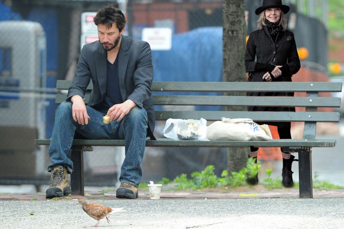 New York Magazine tweet media