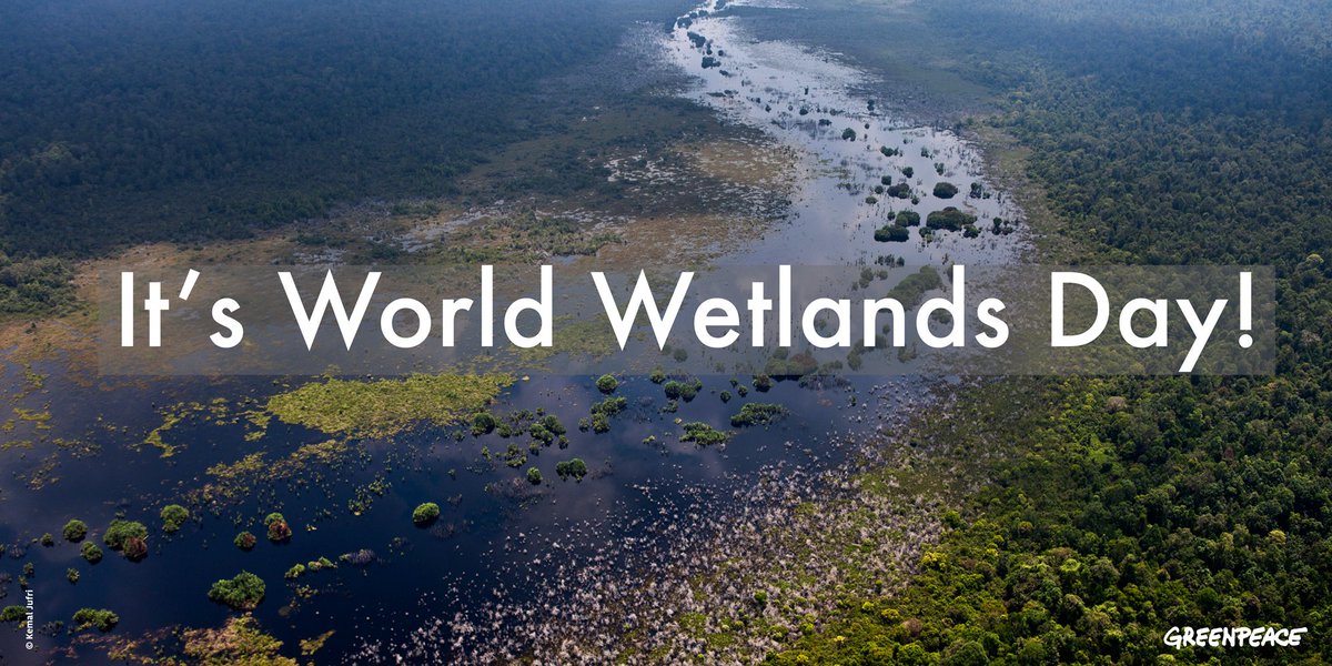Greenpeace's tweet photo. It’s Earth’s “natural sponge” and home to countless plants &amp; animals. Today we celebrate #WorldWetlandsDay! https://t.co/ZAI1vXNhbE