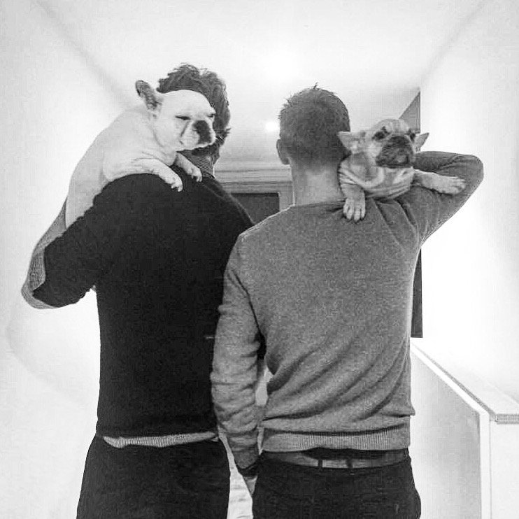 devosmeijering's tweet photo. Who let the dogs out? Foxwolf let the dogs out! #animalparty https://t.co/WqO5lNHUIq