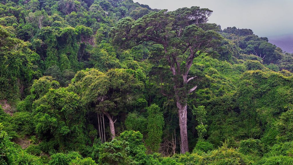 The scenic Grootrivier Pass near Natures Valley