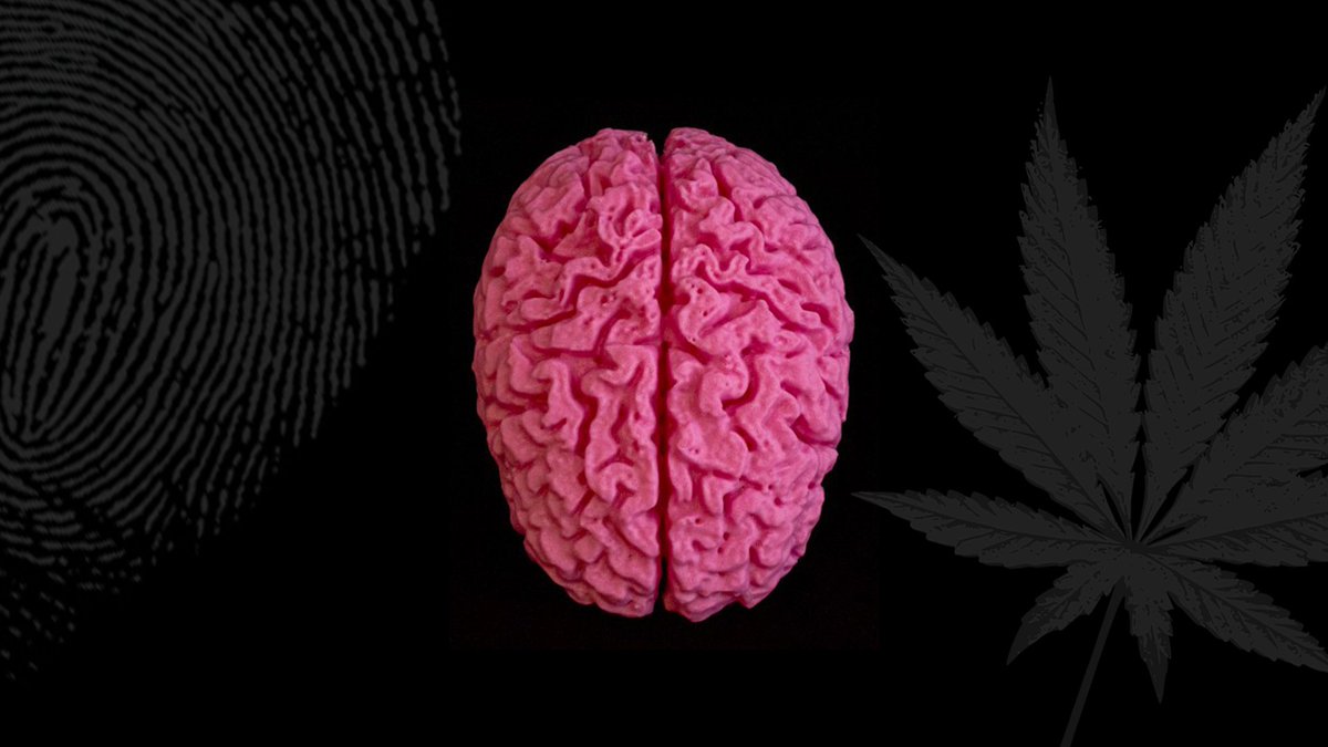#3DPrinting #Brains #Hemp &amp; #Thumbprints in a new #News #YouTube #video youtu.be/eKwTCcTUXiY #3Dprinter #Feb02