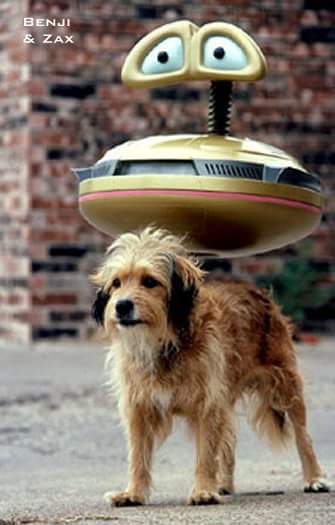 Rus etuk fohisha Bekorchi koz tashlamoqda