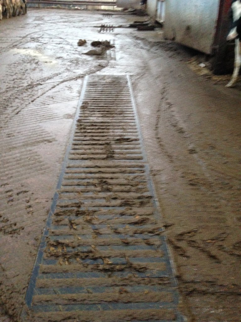 richrobscows1's tweet photo. First proper drying day for months and the grids blocked!#shitproblems💩💩 https://t.co/QDkimQsoZr