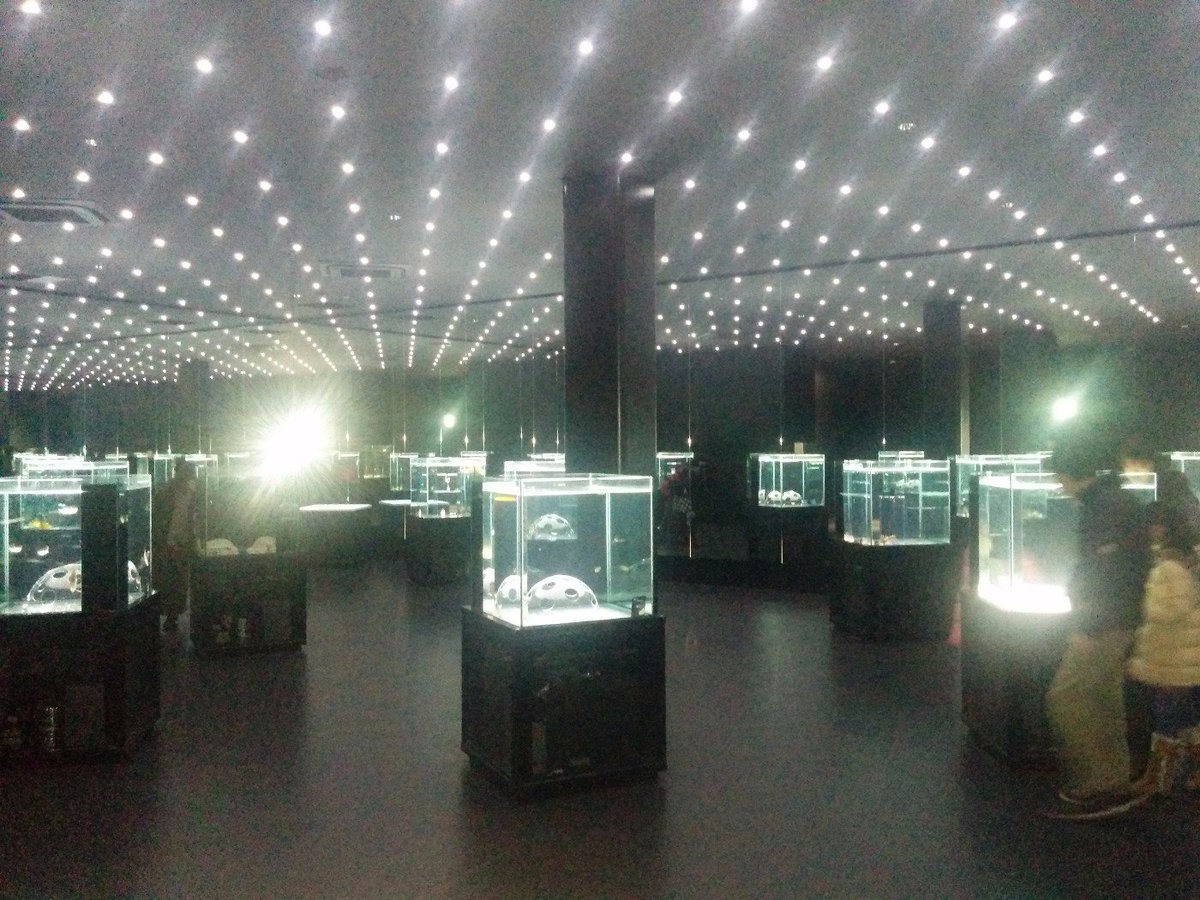 firo's tweet image. そういえばこんなとこ行ってました。ニフレル。