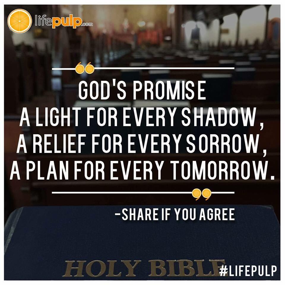 LifePulp's tweet image. #LifePulp #Selflete