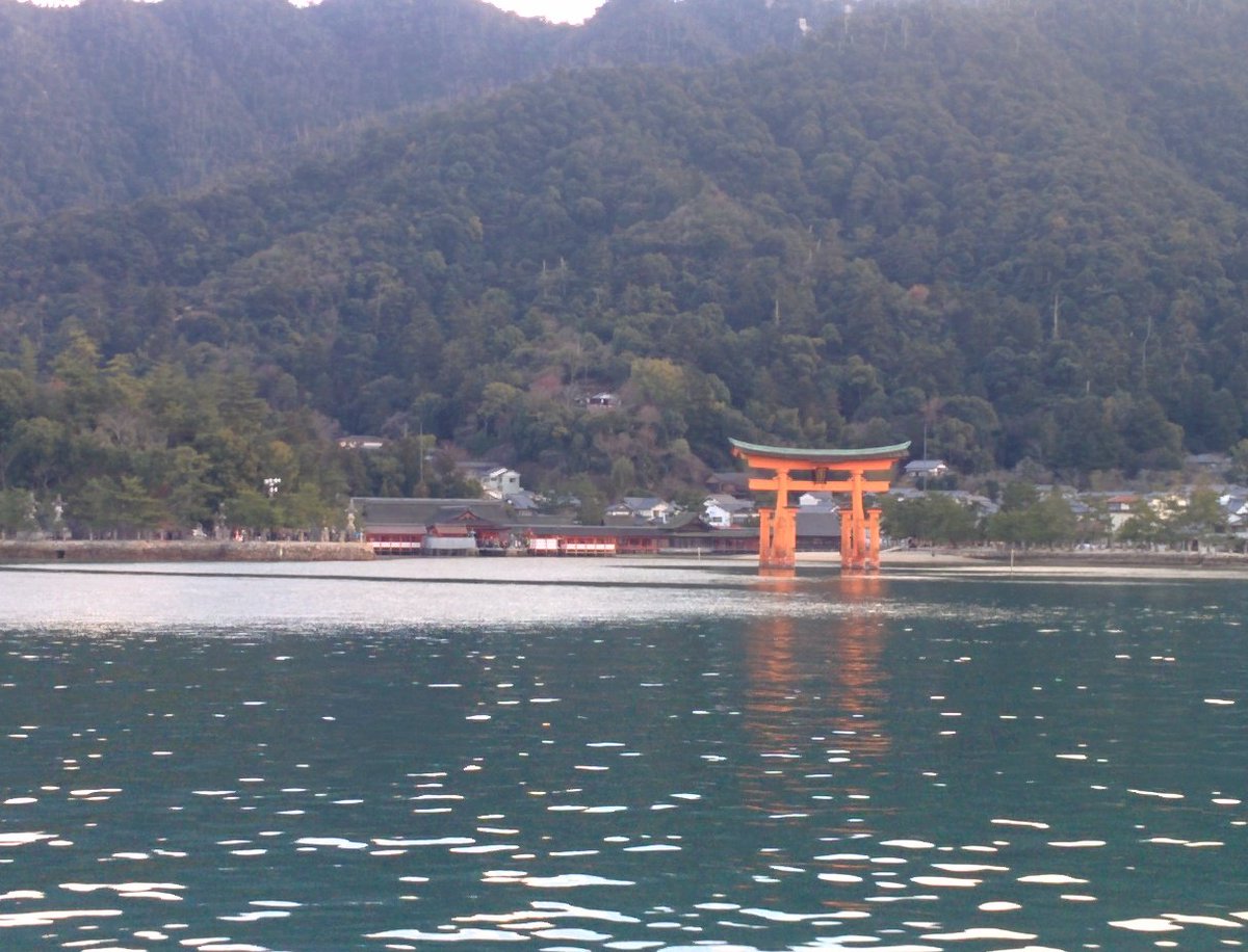 firo's tweet image. 今ここ。