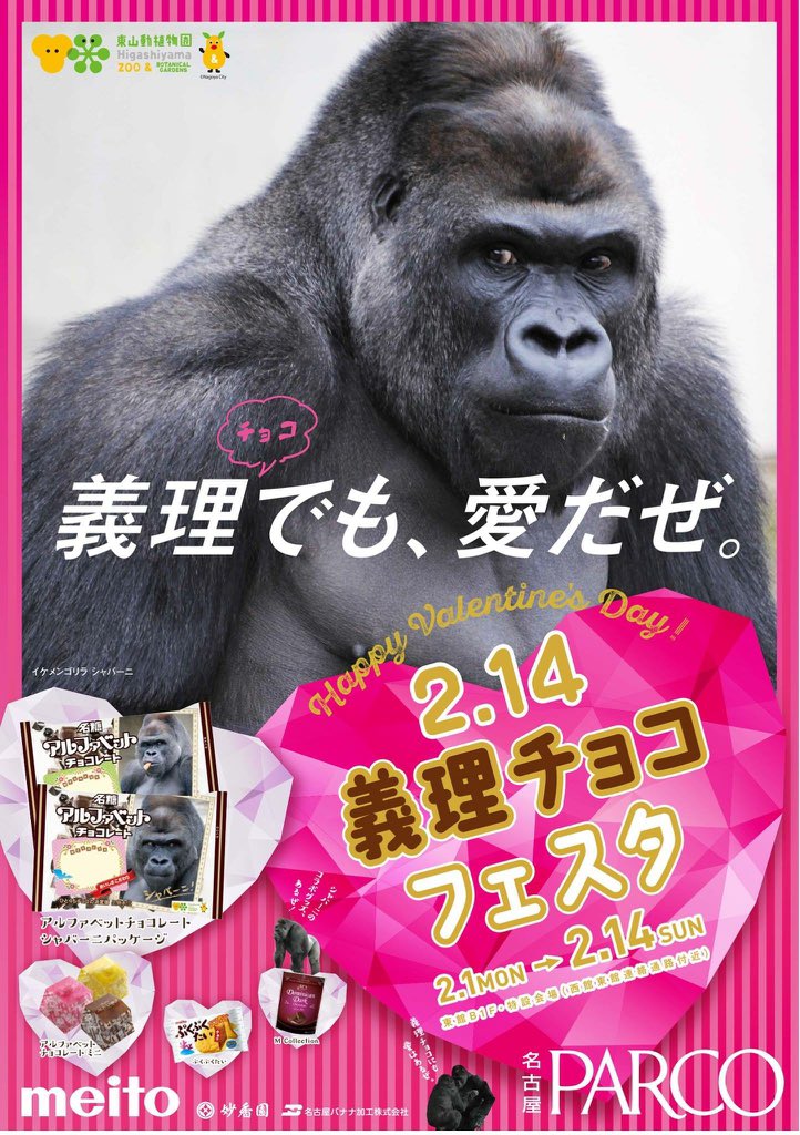 ⭐️チョコです CCN16001 カプセル 8P チョコチーノ 0(8P チョコチーノ