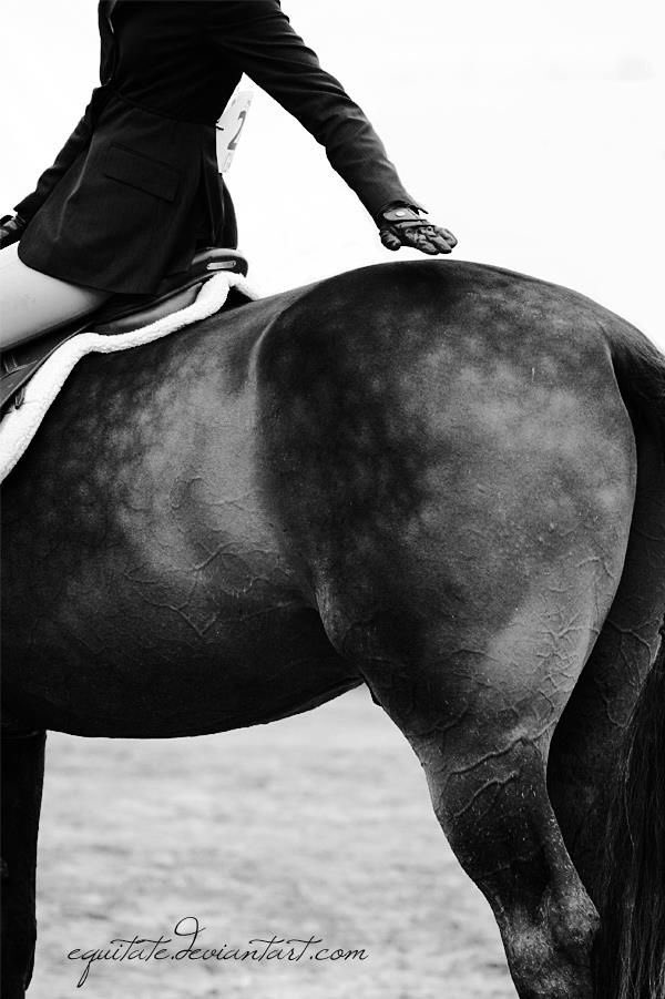 #Felizmartes La única diferencia entre un buen y mal día es tu actitud.-Dennis S. Brown #equitacion