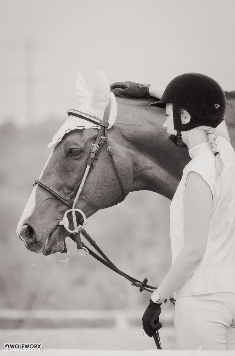 Christelle_Pi's tweet photo. Summer Show 🌞 #Equestrian #ShowJumping https://t.co/gjyS8xGPiz