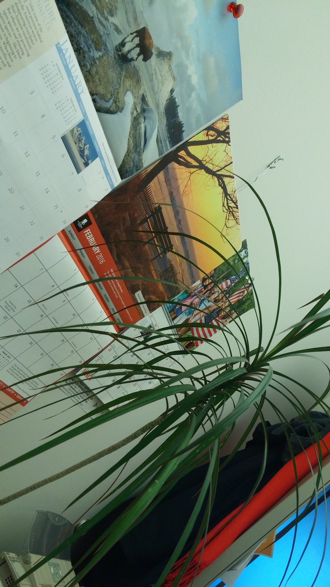 richardsdm's tweet image. Assorted calendars and my mini-palm tree brighten my office! #adminlove #OfficeDynamics