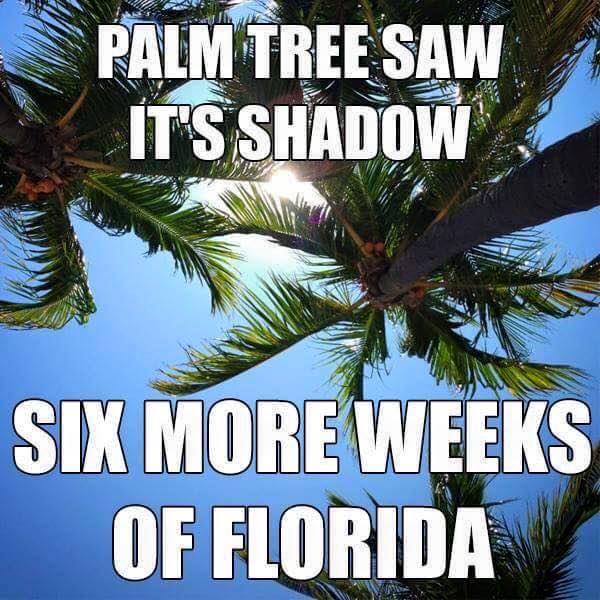 SarasotaPD's tweet photo. Despite fog this AM, we thought we'd share a little #GroundhogDay humor.  Drive safely - We're here if you need us. https://t.co/FSA3EAY1OA