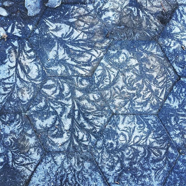 TIMPWOOD's tweet image. washingtonsquareparkerz.com/fernlike-icepa… - #fernlike #icepatterns #pavers #sidewalk #washingtonsquarepark #nyc