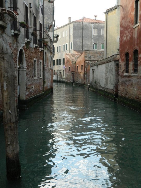 eleofontana's tweet photo. #Venice #placetovisit #placetolove https://t.co/Nm1g3nNXEI