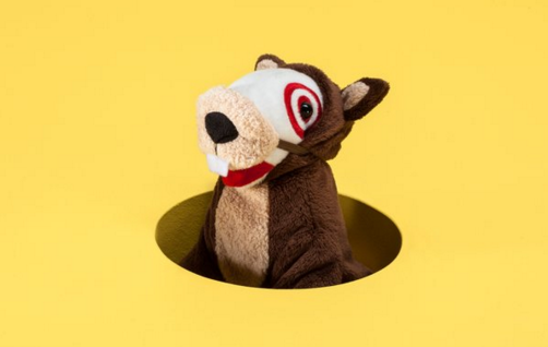 #PunxsutawneyPhil's shadow-free morning means an early Spring. Happy #GroundhogDay, indeed!