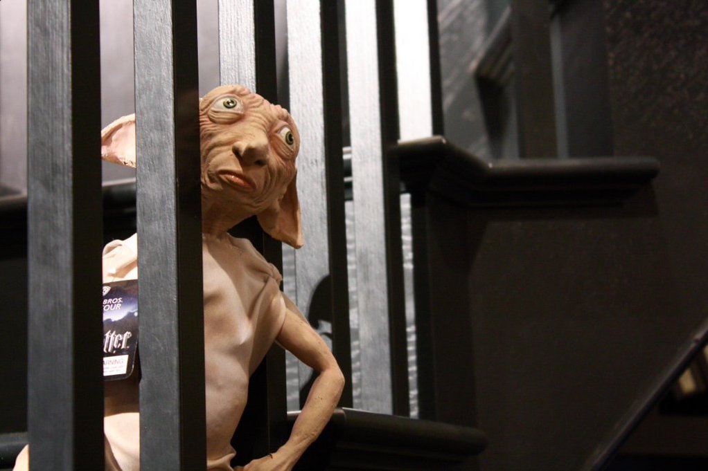SUGiveitaGo's tweet photo. Finalist 5 for #igaveitago Dobby by Petra https://t.co/g2On7OVBda