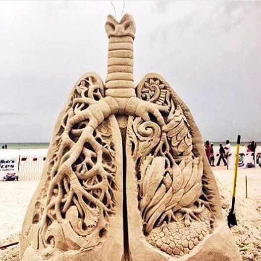 mosaiced_'s tweet photo. #medstudent #medschool #foamed #usmle https://t.co/1UGu18bfUR