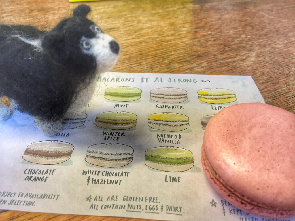 woolismybread's tweet photo. Two wonderful gifts from a wonderful person. Thank you #Heken @HelenPateman @NFUCountryside @MacaronAlStrong #tasty https://t.co/9He2adMThK