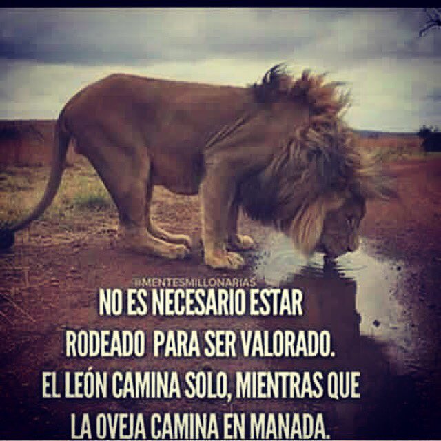 CHIKIS_ALERTA's tweet photo. Muy buenos dias! Lets get this! #JOSELUISCARRISOZA #ELCHIKIZ #TEAMALERTAZERO #JLC https://t.co/et5sdMFNXV