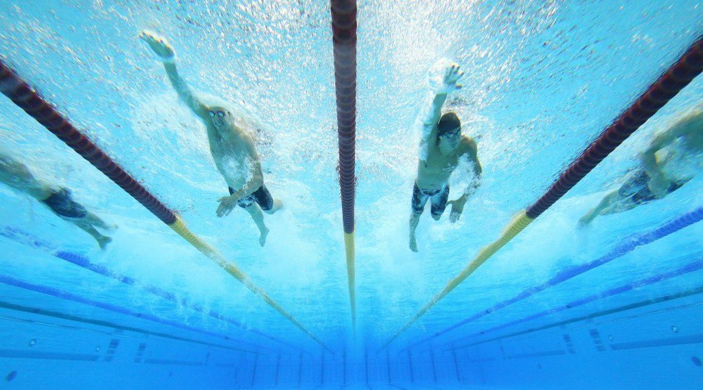 ExaminerSport's tweet photo. 5 facts that prove aquatics is the most interesting sport at the Olympics https://t.co/q41NWL7cuI https://t.co/dK6rBtbFdV