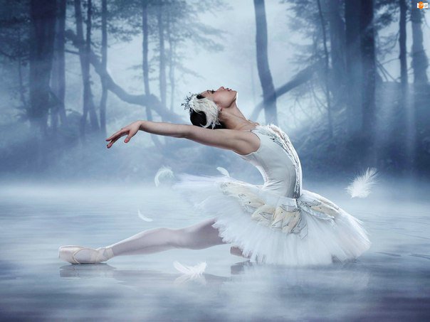 ourdavid_spb's tweet photo. Swan Lake Theme... https://t.co/mDmfCZZDWE