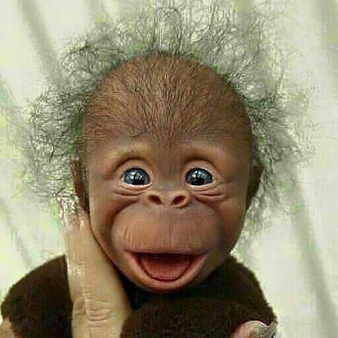 Муу нүүрт бичин жил гарахнээ. 🐒😀