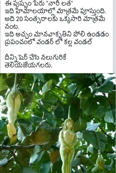 Thaking Of Ramesh ya tweet media