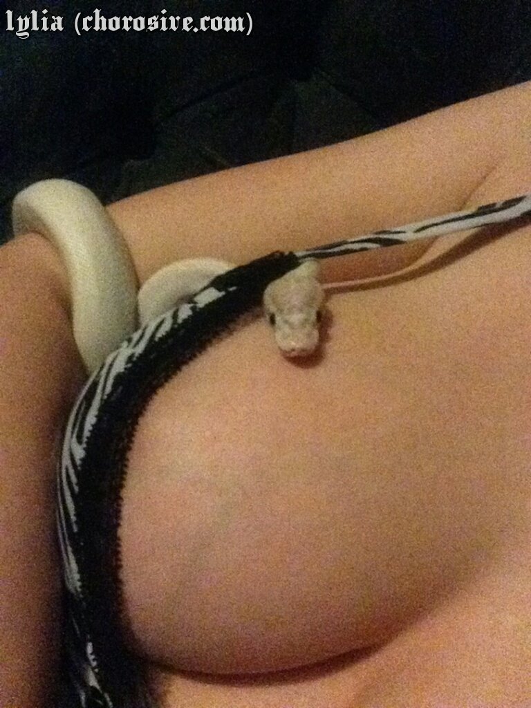 chorosive's tweet photo. For those wondering❓, my night🌌 was in fact improved by media📺, emotional eating🍟, cuddles💪 & my #snakebaby🐍 #Drogon https://t.co/mBRTkRezZk