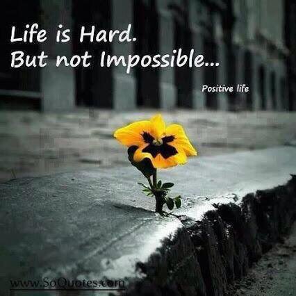 Mooh32a tweet picture