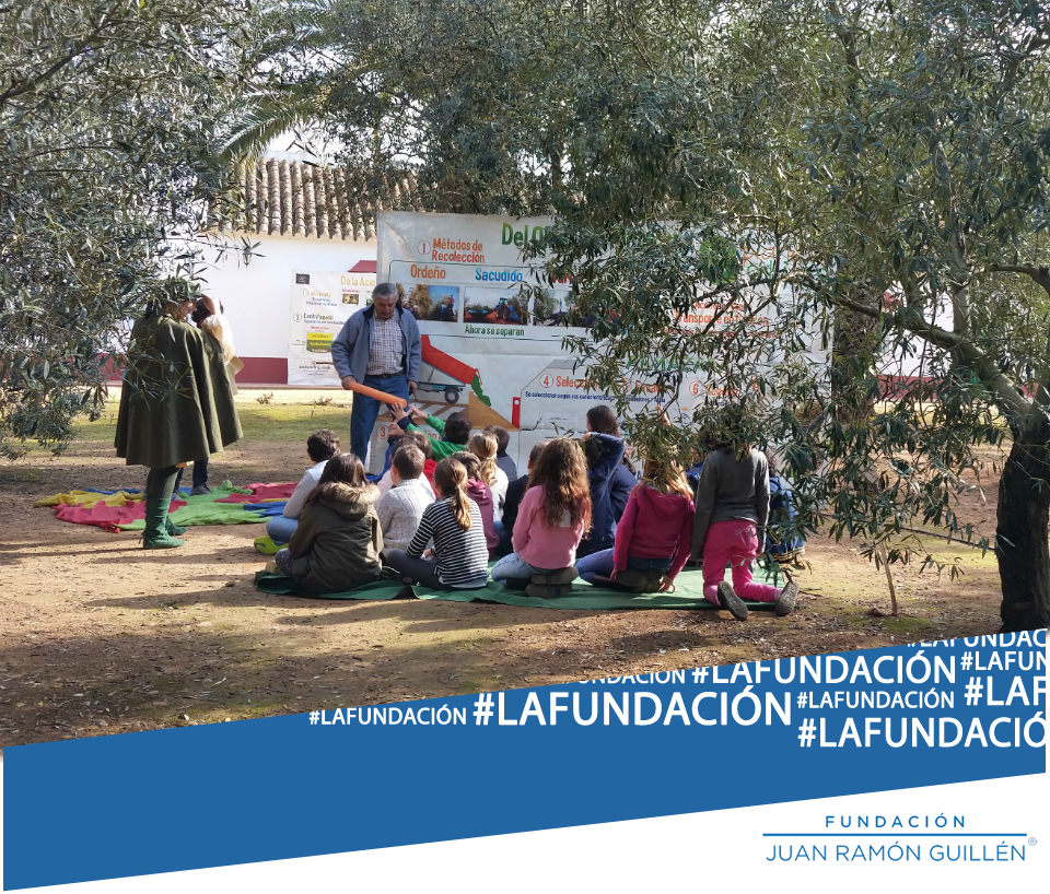 fundacionjrg's tweet photo. Seguimos sin parar con @PlanetaOlivo, enseñando sobre #aceite y técnicas de recolección en nuestra #olivoteca. https://t.co/jMp33rHPTC