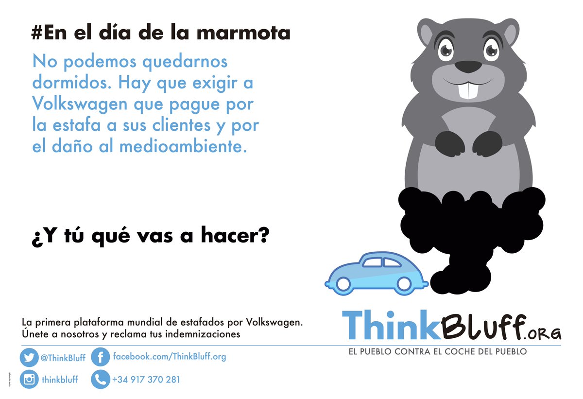 ThinkBluff's tweet photo. Hoy #DiaDeLaMarmota seguiremos luchando para que fraudes como el de #Volkswagen no vuelvan a repetirse #ThinkBluff https://t.co/FuWYwqbXQz