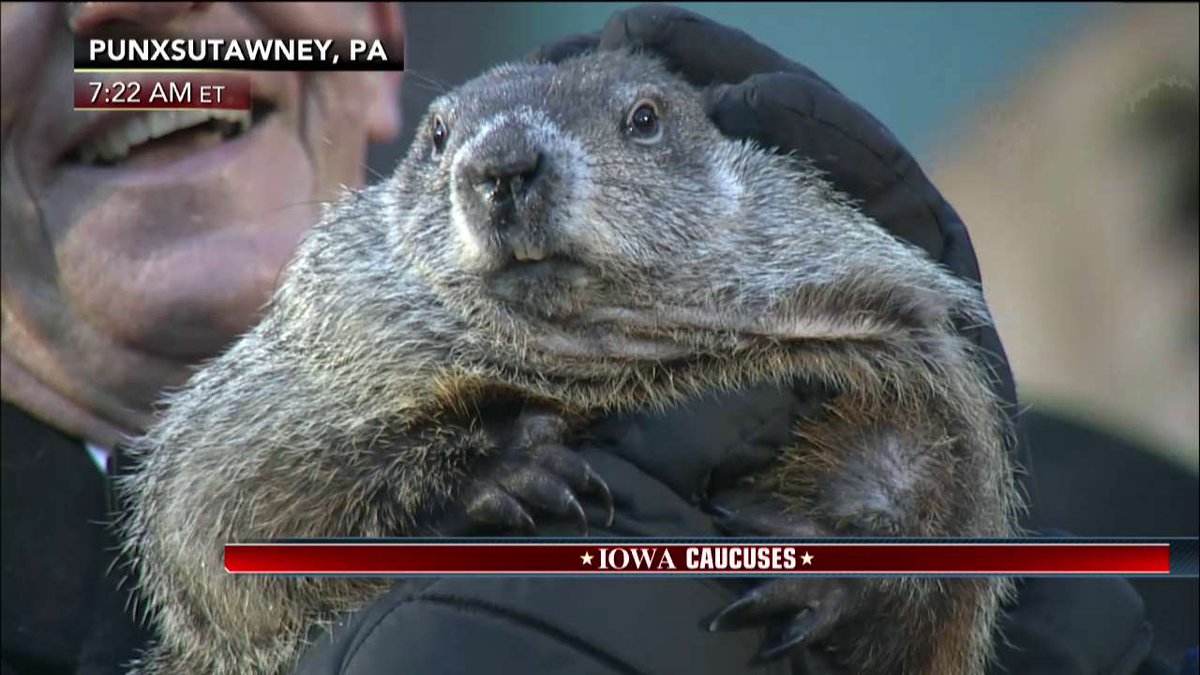 FoxNews's tweet photo. Happy #GroundhogDay! Punxsutawney Phil did not see his shadow – an early spring is his forecast! https://t.co/djMz0I2Kd0