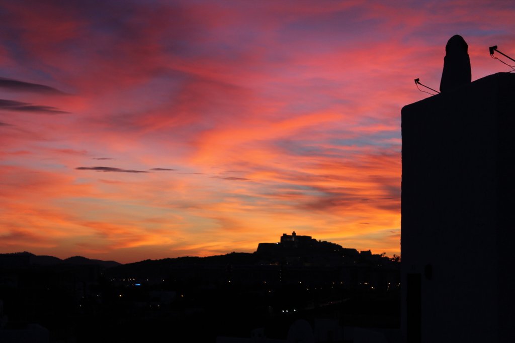 IBZ Entertainment tweet media