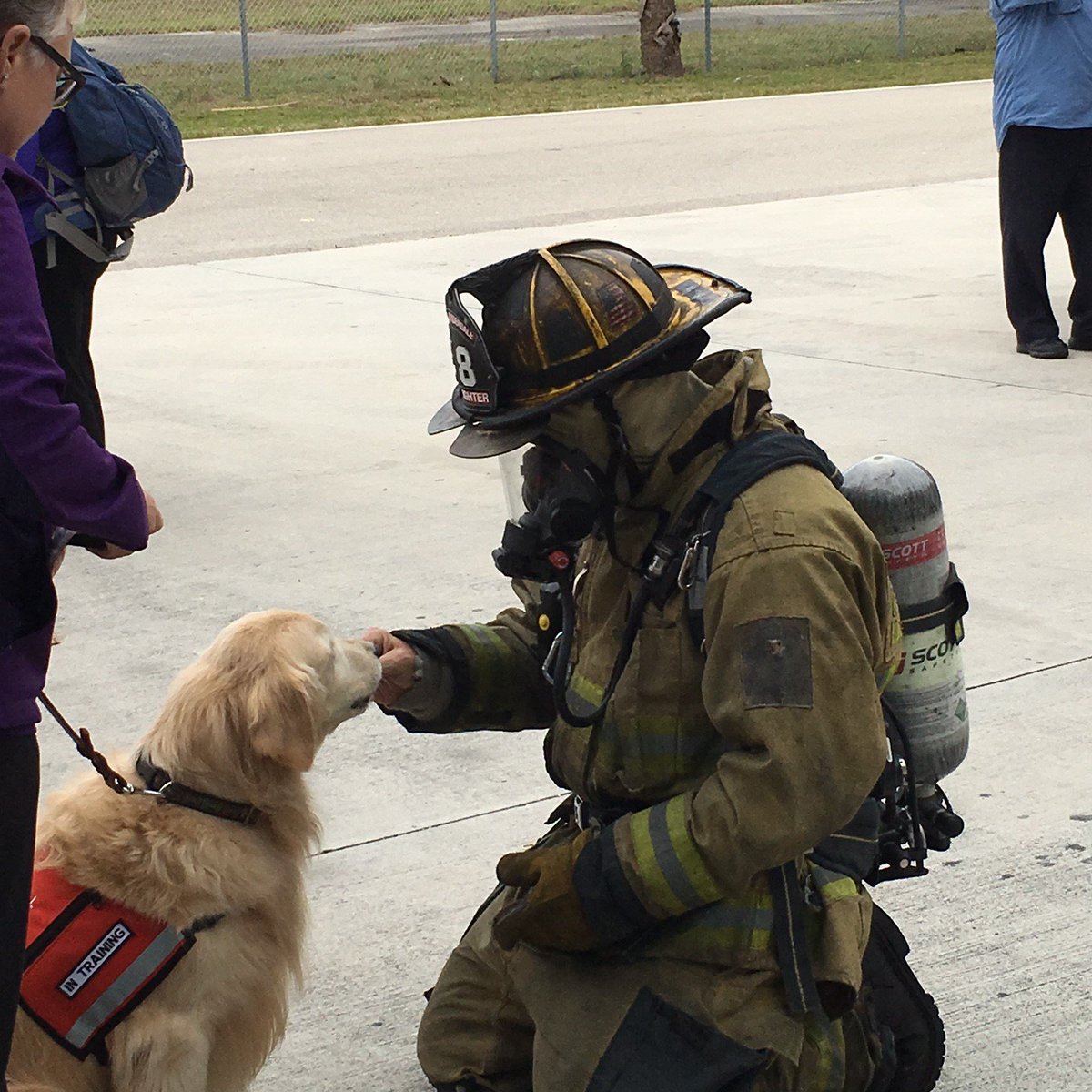 FLFR411's tweet photo. #FLFR working with National Response Canines-Dogs Helping People. @FTLCityNews @JackSeiler @leefeldman @clagerbloom https://t.co/aWF2fRcEvq