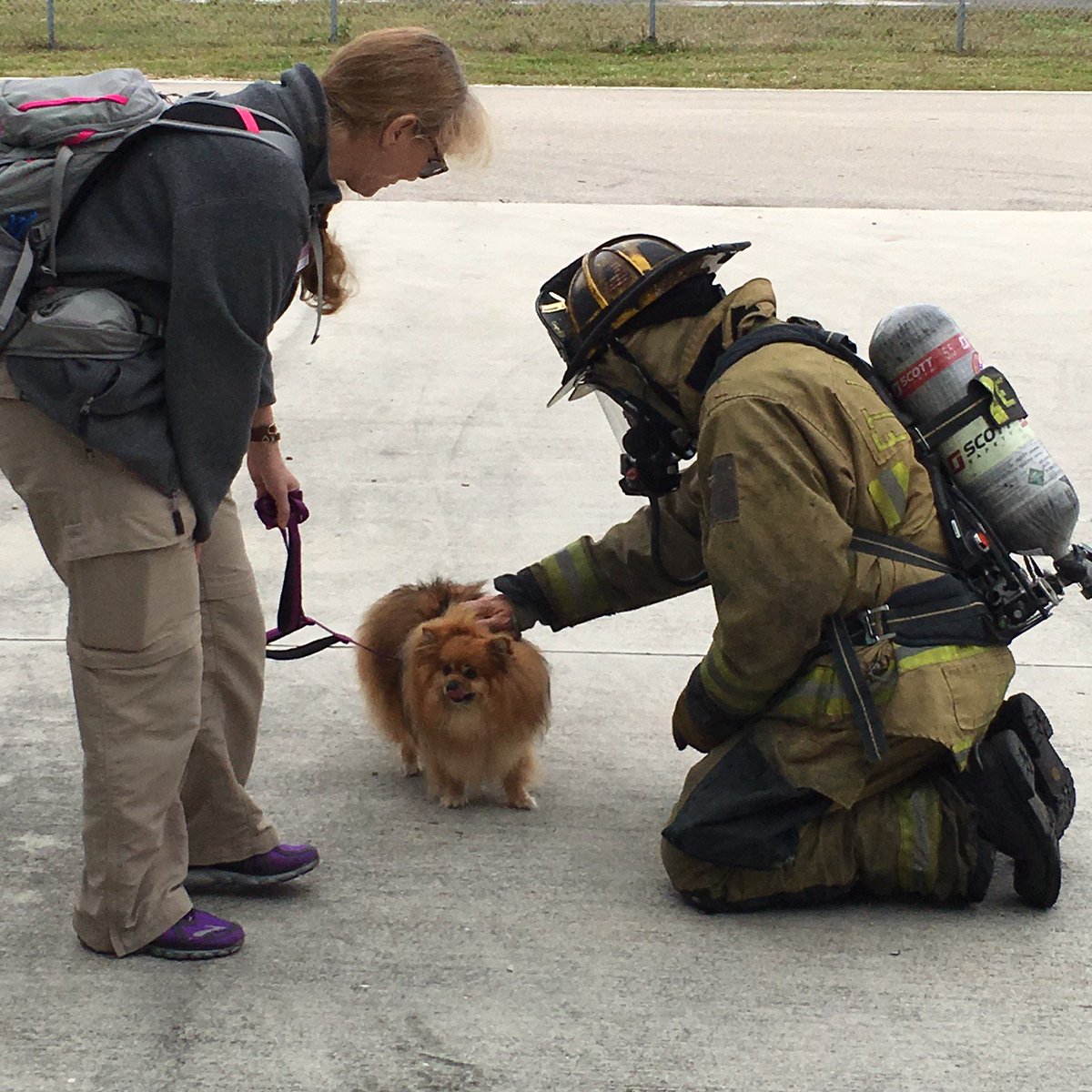 FLFR411's tweet photo. #FLFR working with National Response Canines-Dogs Helping People. @FTLCityNews @JackSeiler @leefeldman @clagerbloom https://t.co/aWF2fRcEvq