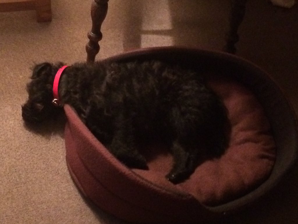 They've just made me walk five bloody miles. Ain't moving again ever.