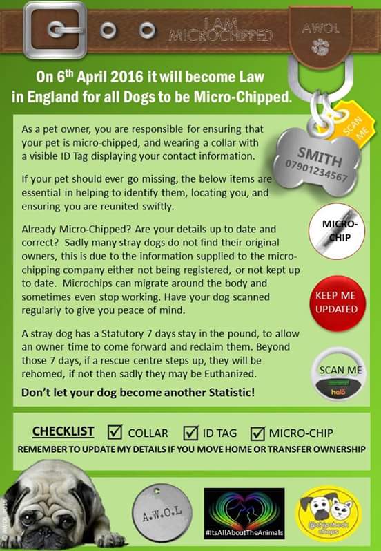 AWOL Pets tweet media