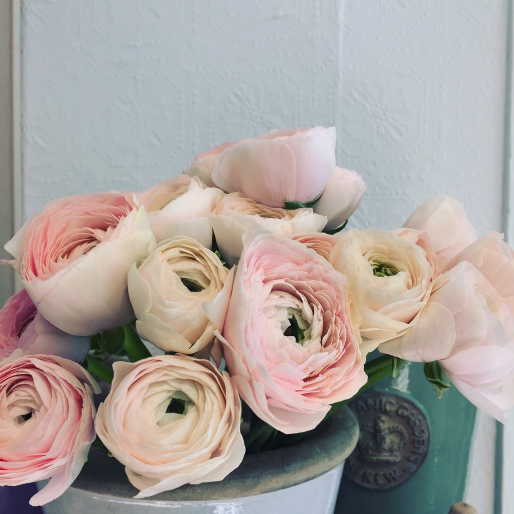 bumbleandwild28's tweet photo. All girls need these in their lives! Get your Valentine's orders in now chaps! 01608662823 💕 https://t.co/oTHo9256Mi