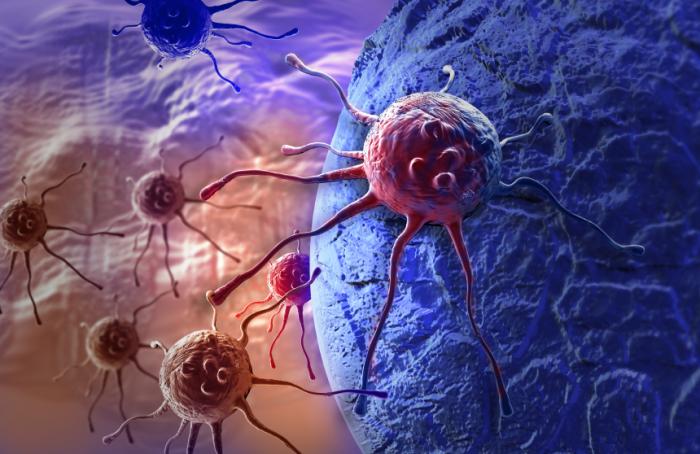 mnt's tweet photo. New insights into DNA repair could improve drugs that block cancer cell growth https://t.co/ILJ0uxcQuD https://t.co/6OVbjRmHUT