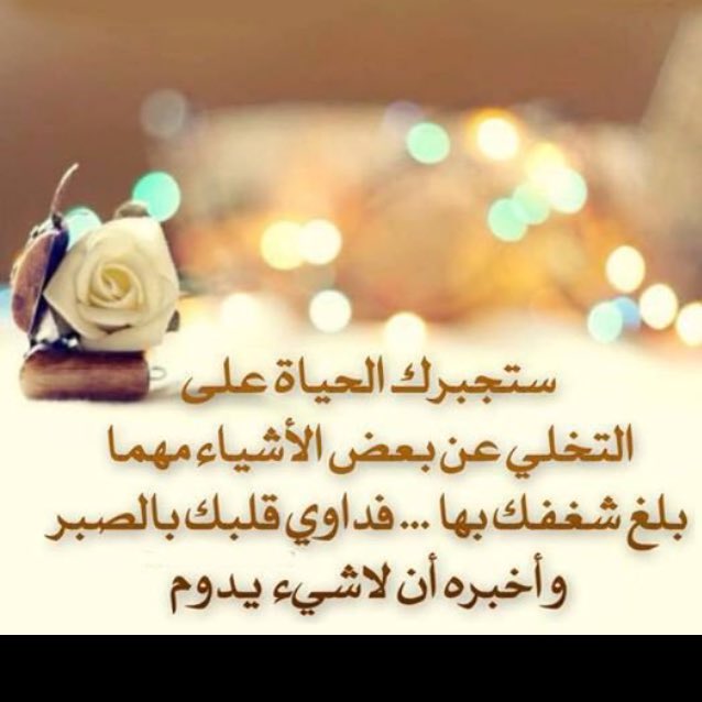 عصام عثمان tweet media