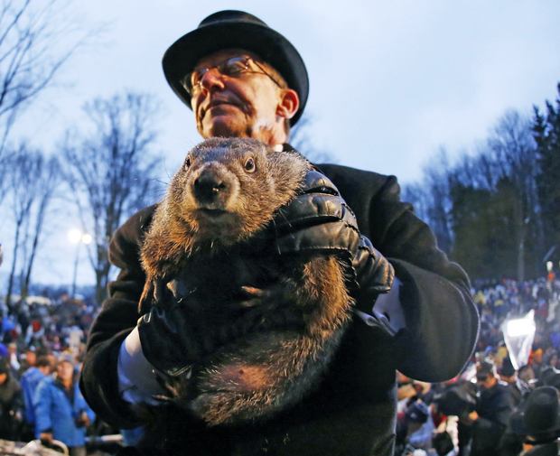 ThusSpokeJon's tweet photo. This is one time where television fails to capture the true excitement of a large squirrel predicting the weather https://t.co/ZRx3pbFubW