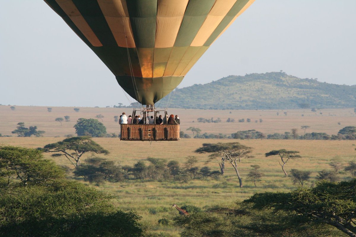 KTF_Kenya's tweet image. #WhyKenyaIsTheBestCountry World's Leading #SafariDestination @WTravelAwards